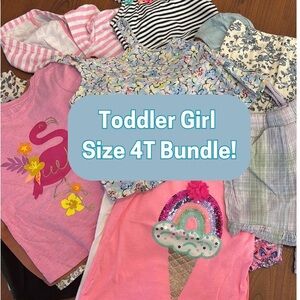 Toddler Girl Size 4t Bundle! 29 total items!